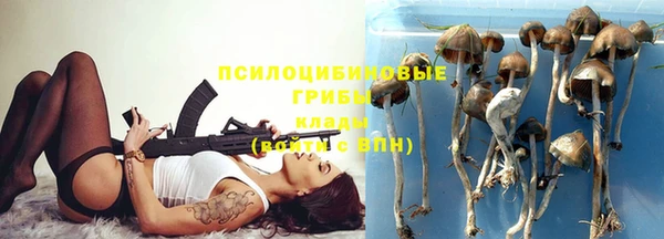 мяу мяу мука Верея