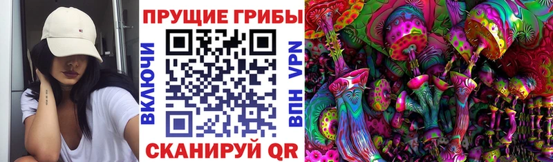 Галлюциногенные грибы Psilocybine cubensis  Купить  Бахчисарай 